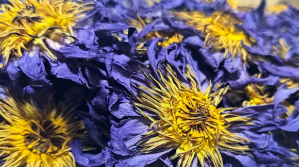 Egyptian Blue Lotus Organic