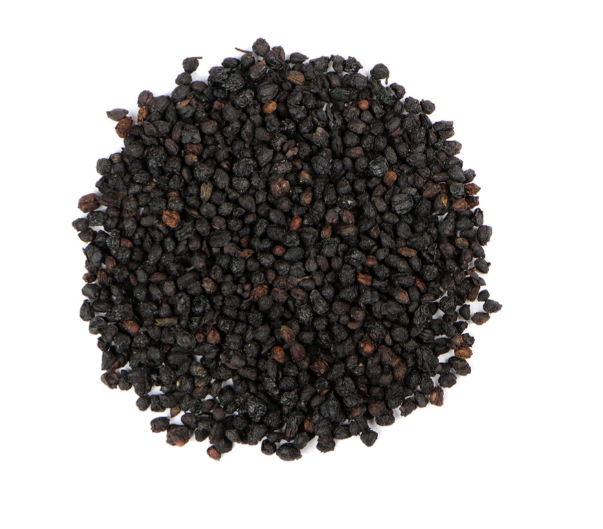 Elderberries Wildcrafted