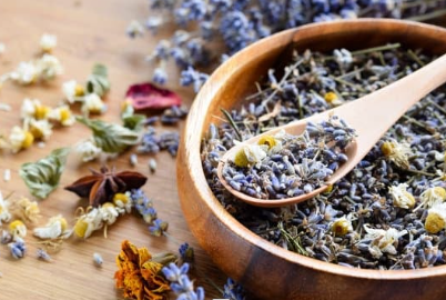 Herbal Wisdom for the Modern Woman