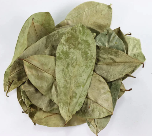 Soursop Leaf Organic